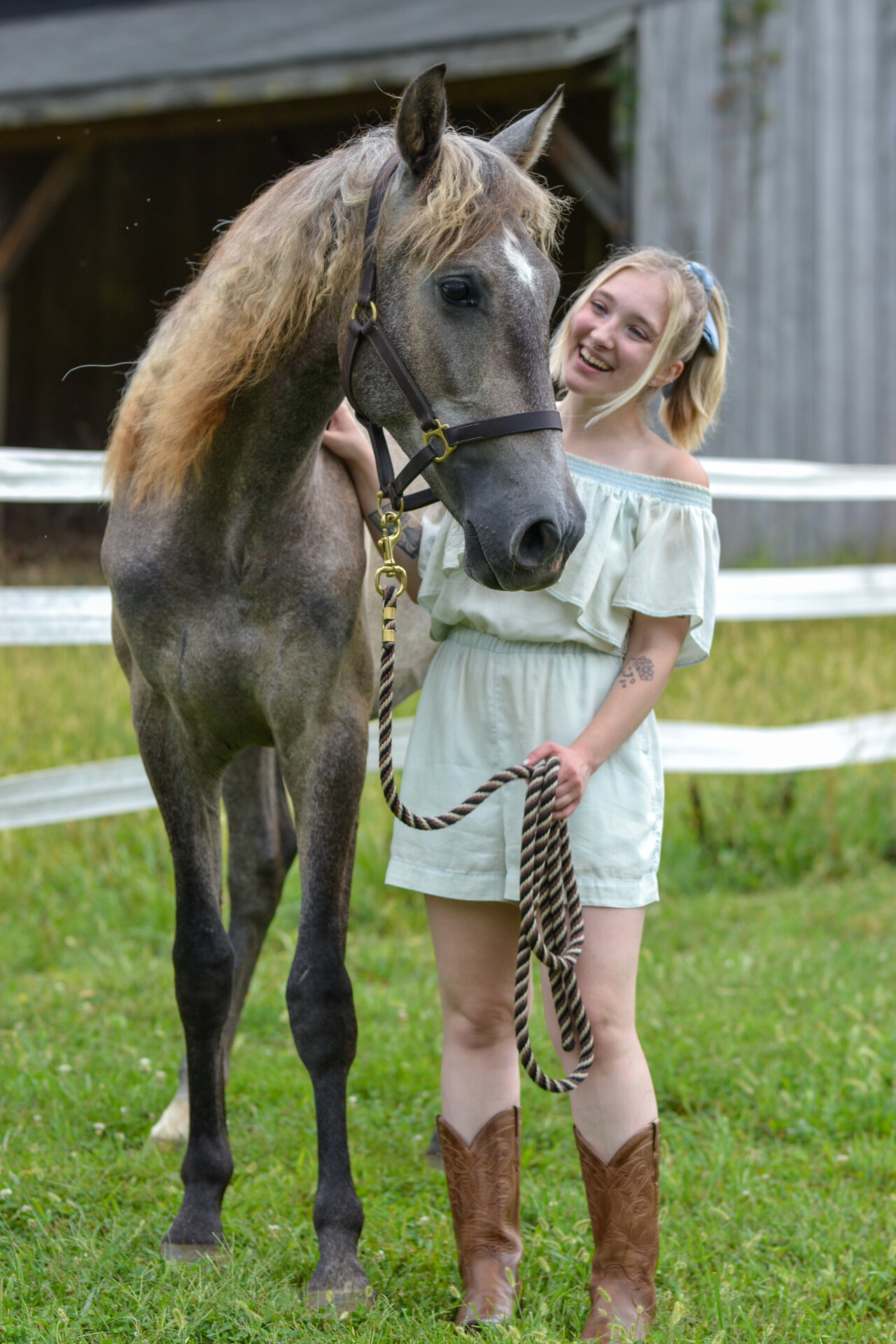 Equestrian photography - Horse portrait 1