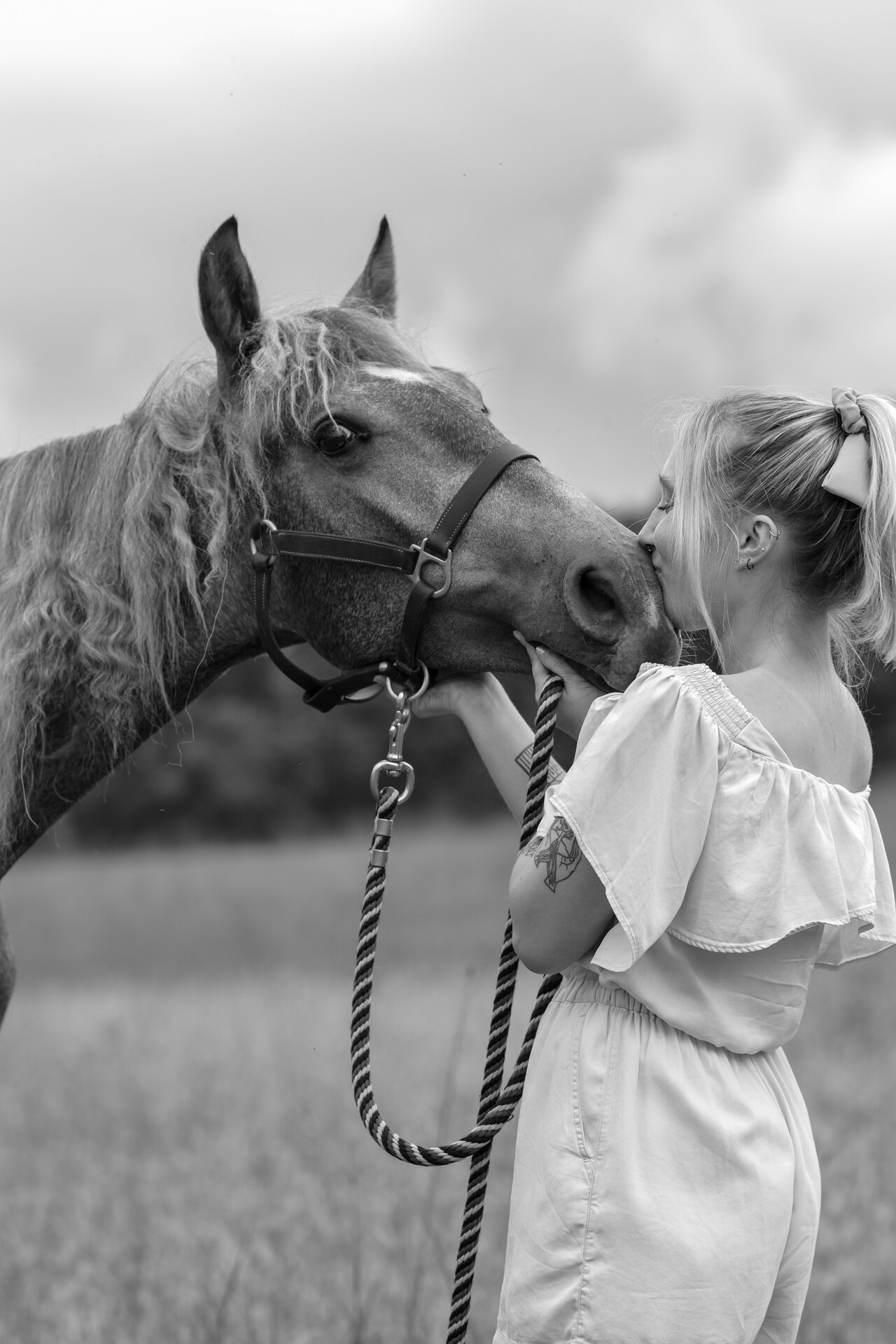Equestrian photography - Horse portrait 2